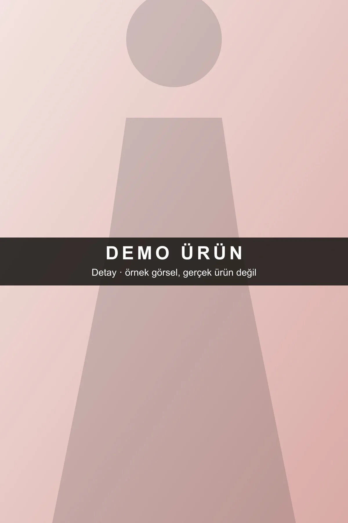 DEMO-N01 modeli, fotoğraf 2