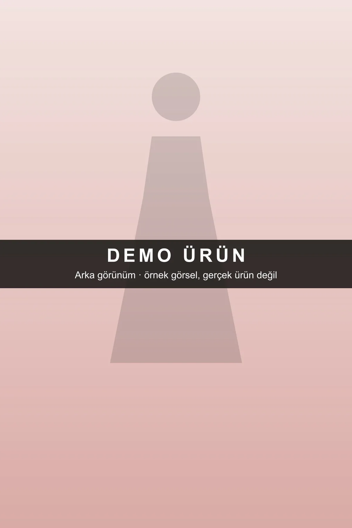 DEMO-N01 modeli, fotoğraf 3