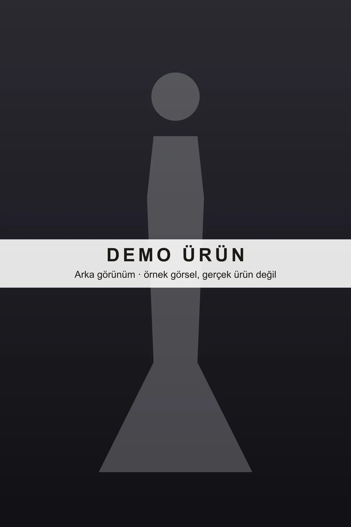 DEMO-A01 modeli, fotoğraf 3