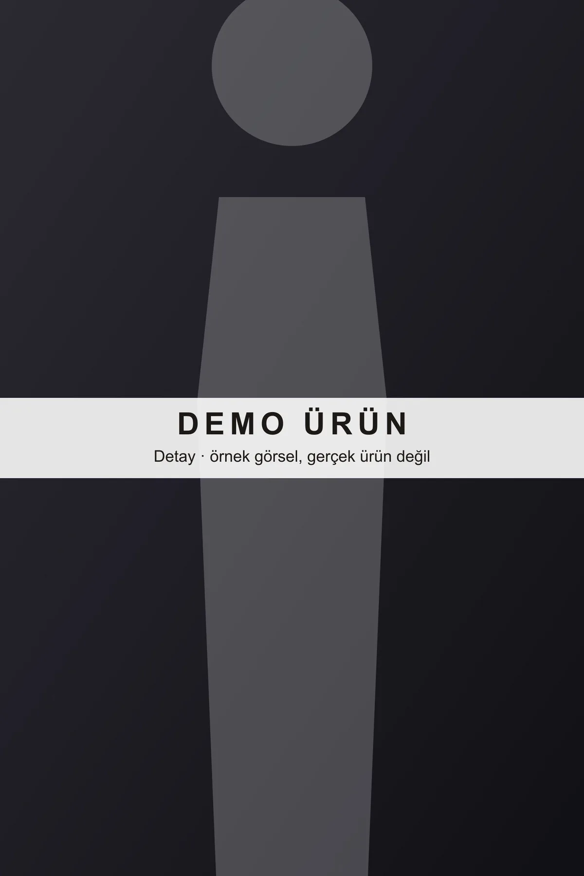 DEMO-A01 modeli, fotoğraf 2