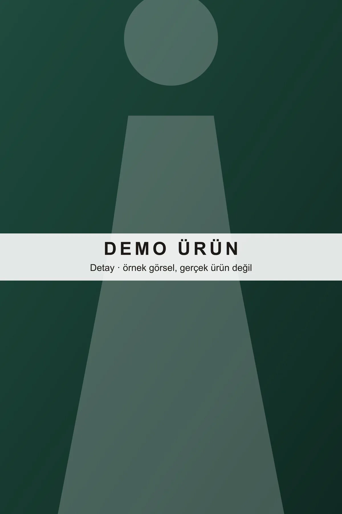DEMO-A02 modeli, fotoğraf 2