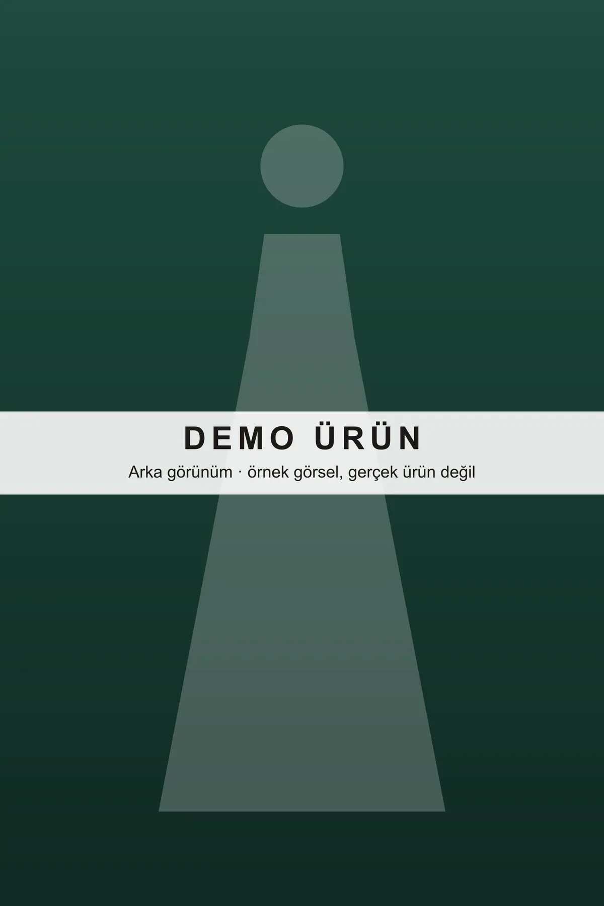 DEMO-A02 modeli, fotoğraf 3