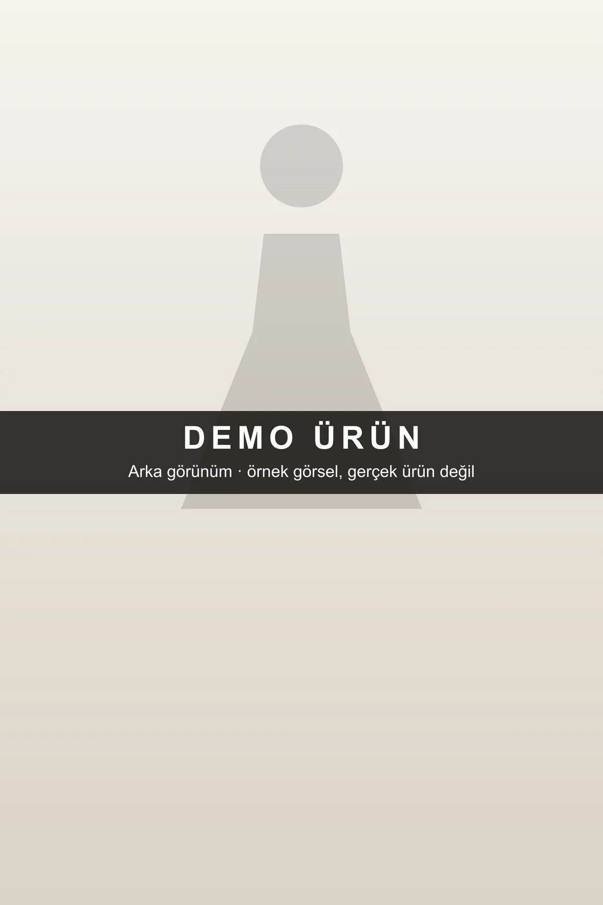 DEMO-F01 modeli, fotoğraf 3